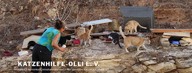 Katzenhilfe Olli e.V. Katzenhilfe Olli e.V.